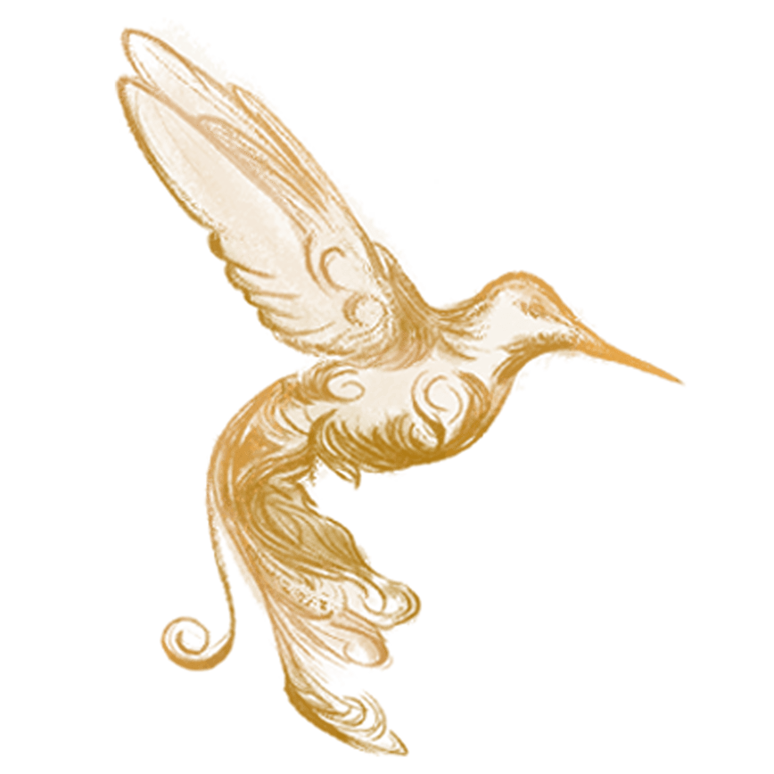 Kinde Coffee hummingbird